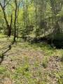 - Jason Pl / Jones Cove Rd -Off - Photo 12