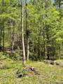 - Jason Pl / Jones Cove Rd -Off - Photo 15