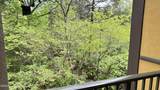 225 Collier Drive - Photo 11
