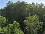 Lot 13 Dove View Road - Photo 11