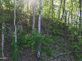 Lot 13 Dove View Road - Photo 14