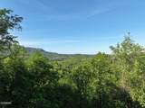 Lot 13 Dove View Road - Photo 3
