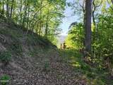 Lot 13 Dove View Road - Photo 5