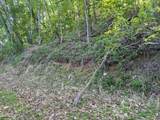 Lot 13 Dove View Road - Photo 6