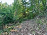 Lot 13 Dove View Road - Photo 7