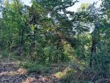 Lot 13 Dove View Road - Photo 8