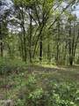 0 Dark Hollow Road - Photo 10