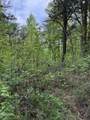 0 Dark Hollow Road - Photo 11