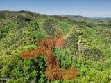 1053 Big Buck Trail - Photo 61