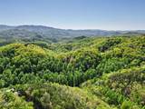 1053 Big Buck Trail - Photo 63
