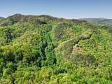 1053 Big Buck Trail - Photo 65