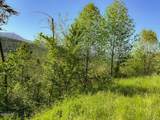 Lot 11 Pinnacle Drive - Photo 10