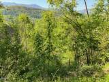 Lot 11 Pinnacle Drive - Photo 7