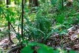 1017/1035 Big Buck Trail - Photo 24
