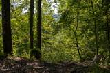 1017/1035 Big Buck Trail - Photo 46