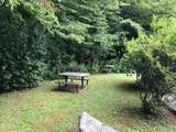 4229 Parkway #166 - Photo 60