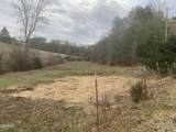 1440 Goose Gap Road - Photo 10