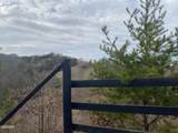 1440 Goose Gap Road - Photo 19