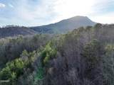1440 Goose Gap Road - Photo 44