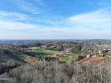 1440 Goose Gap Road - Photo 58