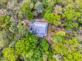 2210 Turkey Roost Road - Photo 11