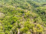2210 Turkey Roost Road - Photo 9