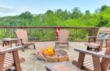 346 Oak Haven Way - Photo 3