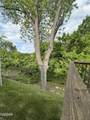 146 Mayapple Way - Photo 29