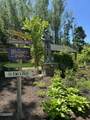 970 Douglas Dam Road - Photo 45