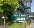 1102 Ski View Drive - Photo 2