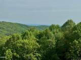 1102 Ski View Drive - Photo 3