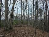 0 Deer Ridge Lane - Photo 16