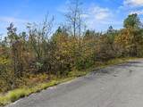 Lot 57 Fork Horn Trail - Photo 7