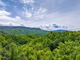 967 Scenic Trail - Photo 3