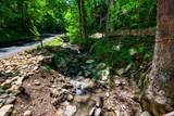 1116 Ski Mountain Road - Photo 50