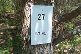 Lot 28 Splendor Way - Photo 3