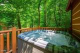 1610 Jobey Green Hollow Road - Photo 18
