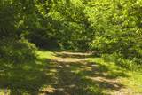 622 Earls Hollow Road - Photo 8