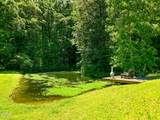 1309 &1319 Licklog Hollow - 62.96 Ac. Road - Photo 10