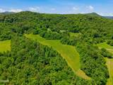 1309 &1319 Licklog Hollow - 62.96 Ac. Road - Photo 11