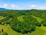 1309 &1319 Licklog Hollow - 62.96 Ac. Road - Photo 48