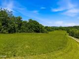 1309 &1319 Licklog Hollow - 62.96 Ac. Road - Photo 8