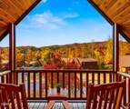 229 Forrest Loop Way - Photo 3