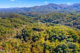 5.37 Acres Reece Hollow - Photo 11