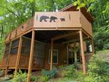 1157 Villa Lane Lane - Photo 3