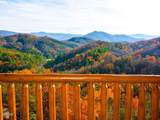 2828 White Oak Ridge Lane - Photo 36