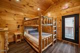 776 Mountain Stream Way - Photo 46