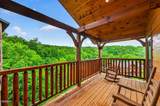 776 Mountain Stream Way - Photo 54
