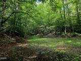 2824 Mary Ridge Farm Road - Photo 9