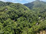 Lot 0006 Wildcat Ridge Road - Photo 4